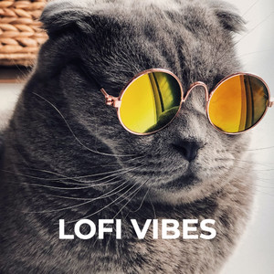 LOFI BEATS VIBES cover