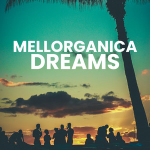 Mellorganica Dreams: Melodic House & Techno cover