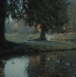 Forever A Memory Playlist By Emily Spotify