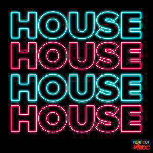 House Music 2026 | Perfect Havoc |