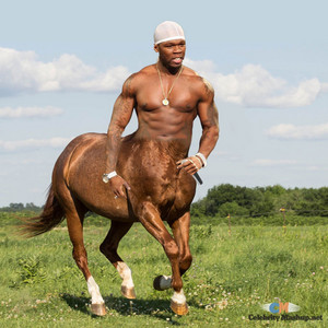 Rap stallions  
