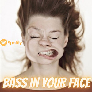 Bass In Your Face cover