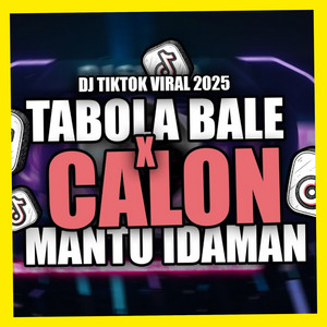 DJ TABOLA BALE X CALON MANTU IDAMAN SLOW VIRAL TIKTOK FULL SONG MAMAN FVNDY 2025 cover