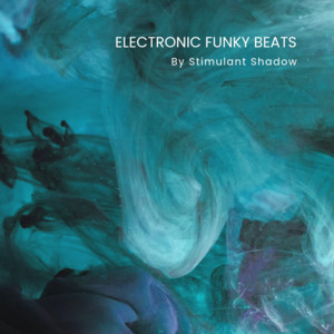 Electronic Funky Beats cover