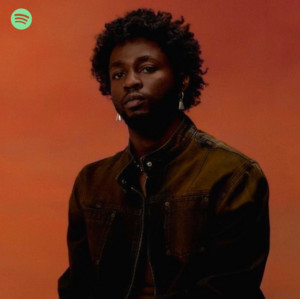 Emotional Afrobeats Instrumental 2026 playlist cover