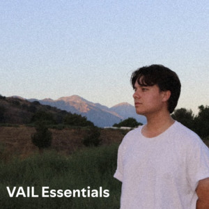 VAIL Essentials playlist cover