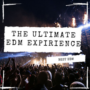 THE ULTIMATE EDM EXPIRIENCE cover