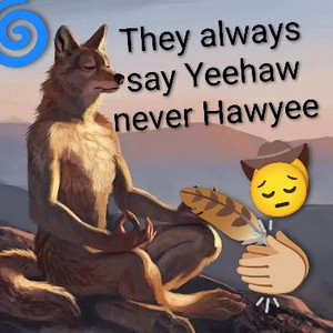 Songs that got me Caterwaulin' 🌵 — cover art