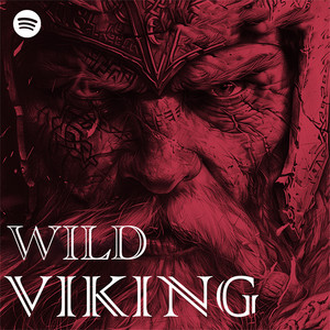 WILD VIKING - Nordic War and Dark Power cover