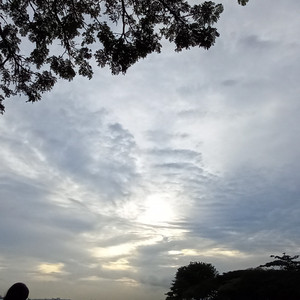 曲 Playlist By Mai Spotify