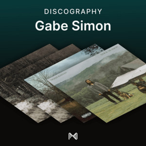 spotify image