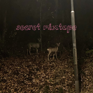 secret mixtape: dark indie cover
