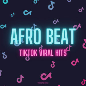 AFROBEAT TIKTOK VIRAL HITS 🔥 cover
