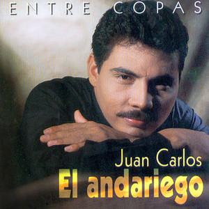 Juan Carlos Hurtado "El Andariego" Exitos " — cover art