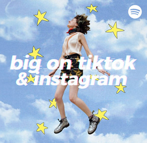 big on tiktok and instagram | Spotify Playlist