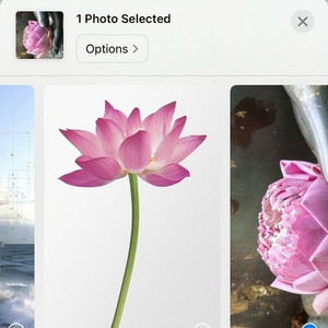 #8. spiritual ૐ gangsta  Yoga Playlist Spotify