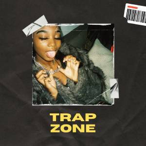 TRAP ZONE cover