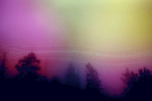 Dream pop allure