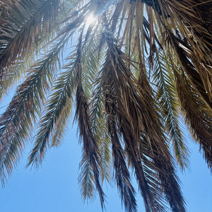 ireen 🥂 — cover art