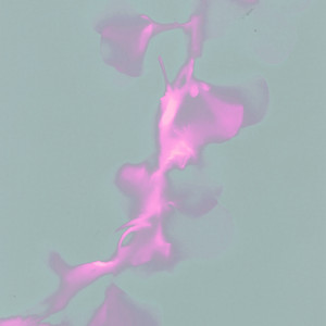 ethereal vibes to sway to cover