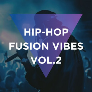 HIP-HOP FUSION VIBES VOL.2 cover