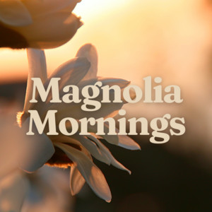 Magnolia Mornings cover