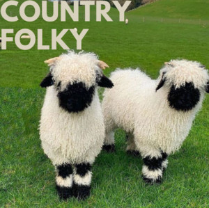 Country Folky cover