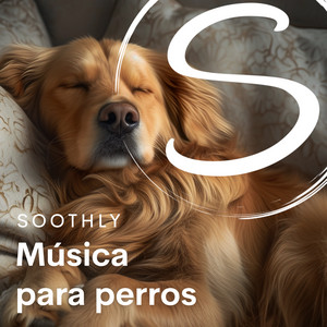 Música para perros - playlist by Soothly | Spotify