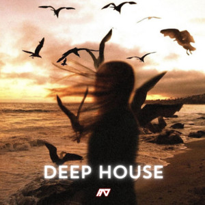 Deep House 2025 cover