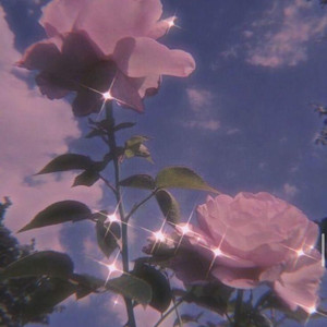 Red Playlist By Meowla Spotify