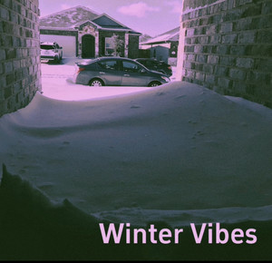 Winter Vibes cover