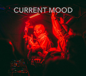 Current Mood 2025 | Progressive House / Melodic Techno / Organic House / Breaks cover
