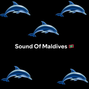 Sound Of Maldives 🇲🇻 — cover art