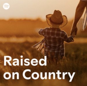 Raised On Country cover