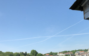 2022: Clearly blues eyes