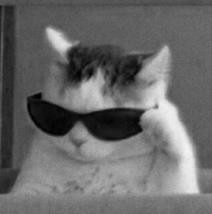 Cool cat cover