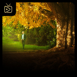 Silent Friend Soundtrack