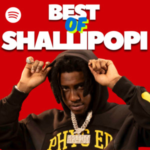 BEST OF SHALLIPOPI 2026 (AFROBEATS) 💥 playlist cover