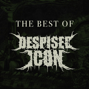 DESPISED ICON - 