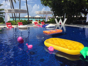 Michael’s Maldives 60th - Party Mix — cover art