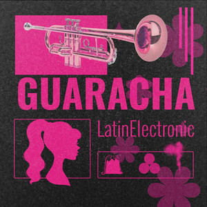 GUARACHA Latin Electronic playlist cover