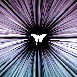 88 Butterfly | Spotify