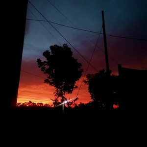REFLECTIONS ON THE SILENCE OF THE NIGHTS