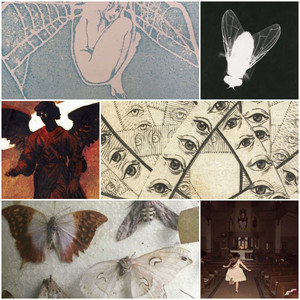 religious cryptid/bugcore👁🪲 - playlist by Cat 📺 | Spotify
