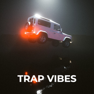 TRAP VIBES cover