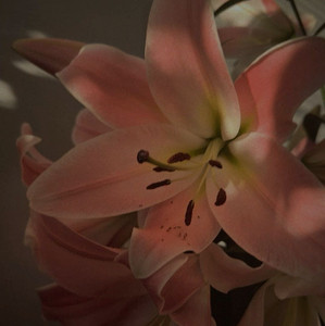 Playlist By I Spotify