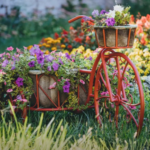 Georgia' s chill vibe playlist — cover art