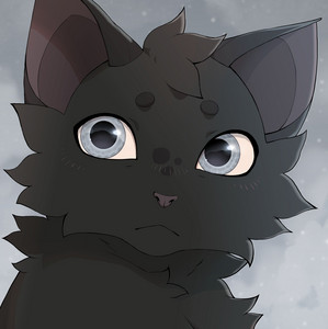 Ashkit - playlist by Louixie | Spotify