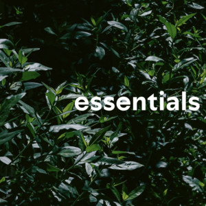 essentials - playlist by Awab | Spotify
