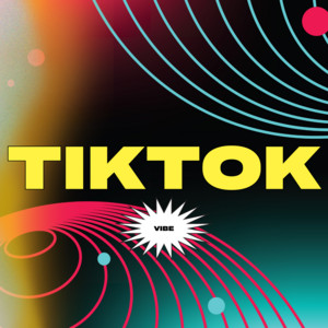 TikTOk Vibe cover